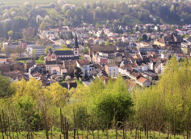 Immobilienmakler Merzig