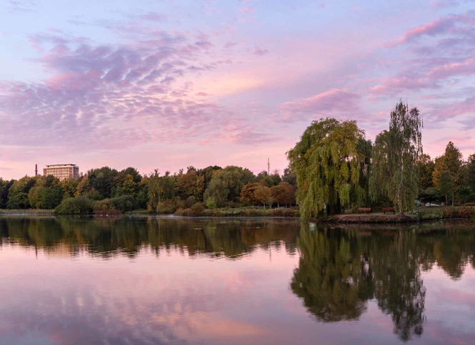 Elmshorn