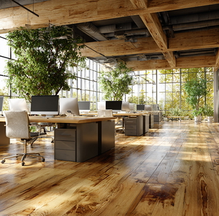 Immobilienmakler Skizze24