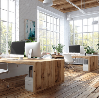 Immobilienmakler Green Aktiv
