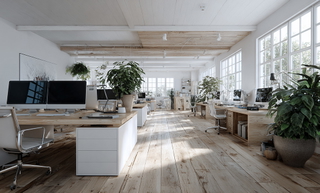 Immobilienmakler ISN -MV