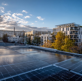 Immobilienmakler Diotima-Energy