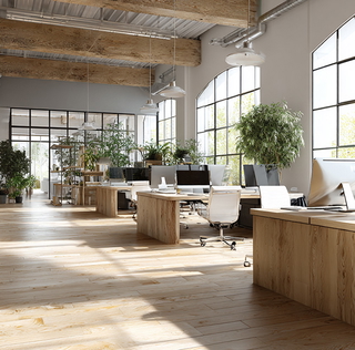 Immobilienmakler energiebüro vom Stein