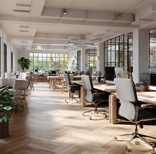 Immobilienmakler ib-brandhorst