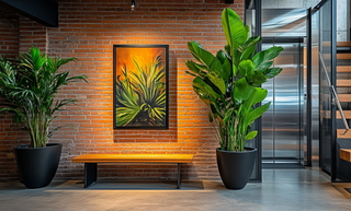 Immobilienmakler Hausverwaltung Baum