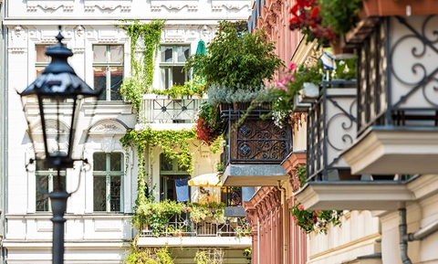 Immobilienmakler SI Wohnungsmarkt
