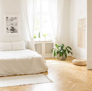 Immobilienmakler Metz Schiebel